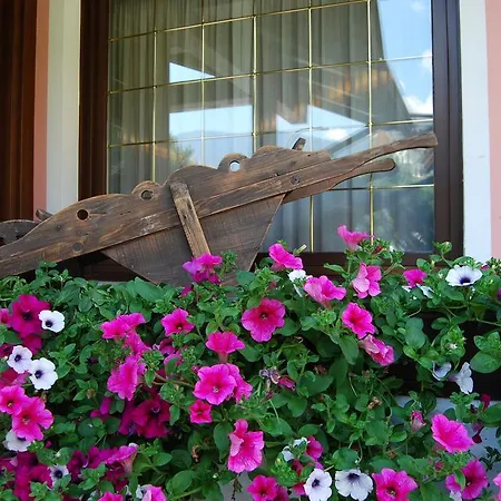 Hotel Quadrifoglio
